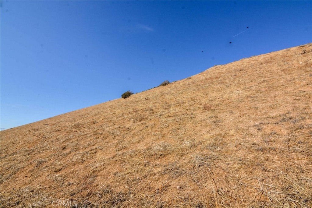 Custom Acton (CACTO) - Land