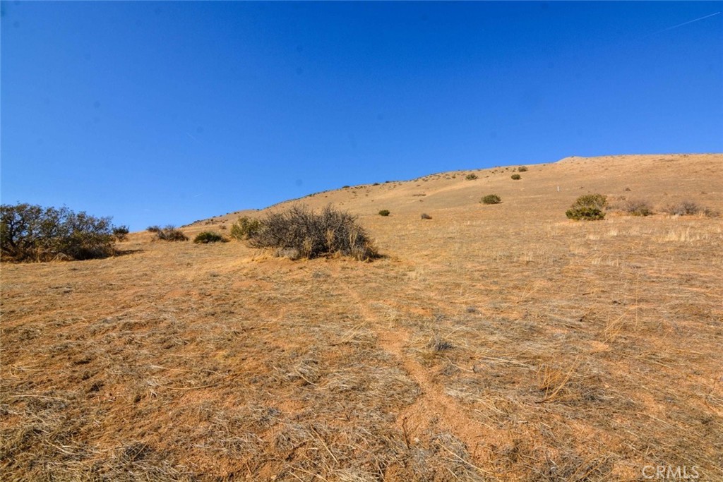 Custom Acton (CACTO) - Land