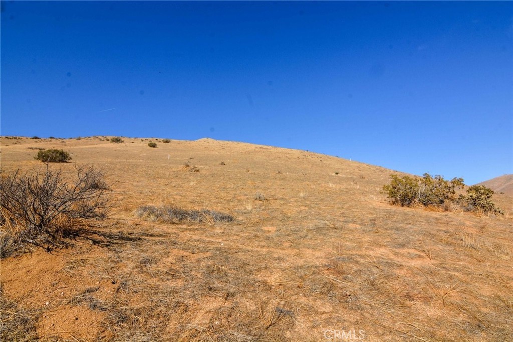 Custom Acton (CACTO) - Land