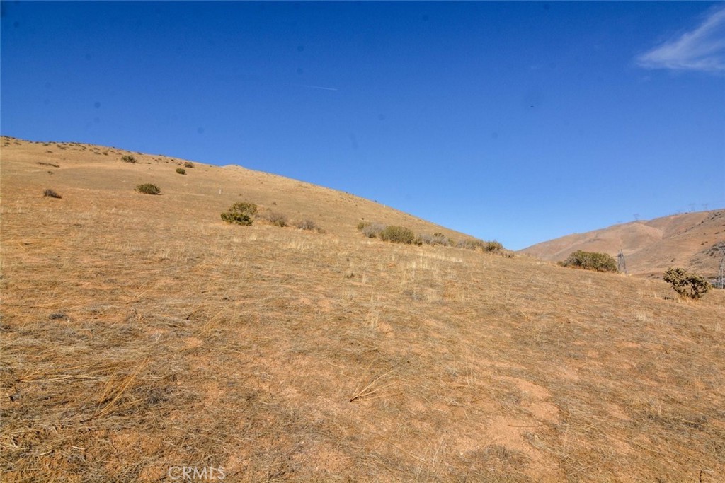 Custom Acton (CACTO) - Land