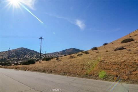 Photo of 720 Berncastle Road, Acton, CA 93510 (MLS # SR23151942)