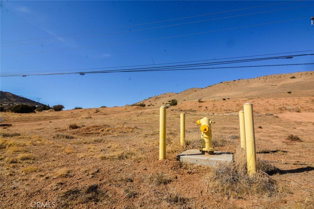 Custom Acton (CACTO) - Land