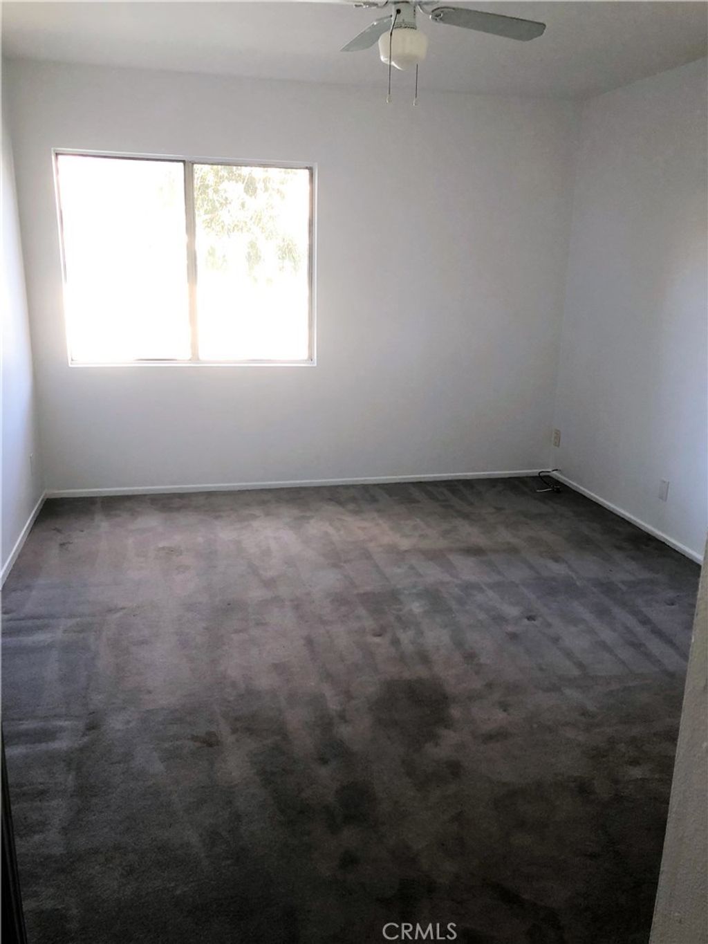 listing image 130726641908270570702