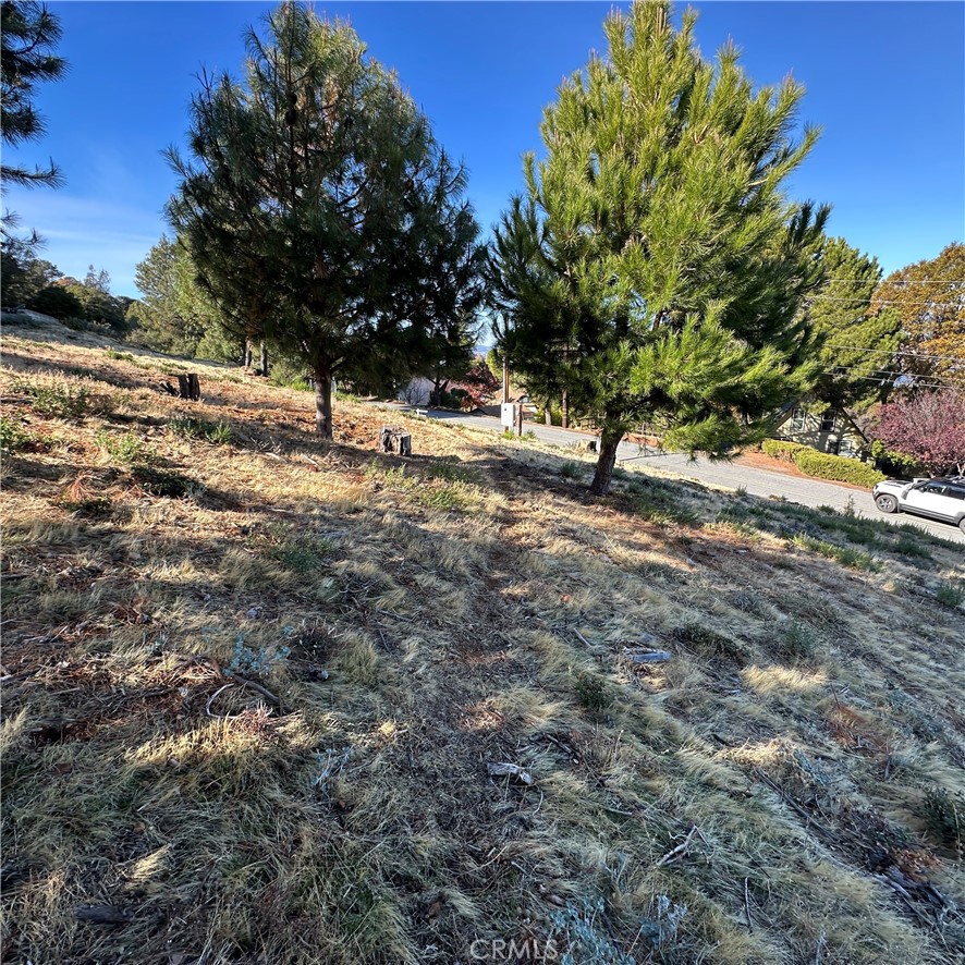 This vacant lot sits on a gently sloping hill, offering an expansive view of beautiful Clear Lake. The lot is dotted with tall trees and a few scattered wild flowers. This nearly half acre lot is spacious and offers ample room for a custom home, garden and out door recreation. The street across is paved and utilities are readily available, making it an ideal location for development. Whether you are looking to build your family home or a weekend retreat, this lot offers a great canvas for your plans. Water meter is in place. Come view this beautiful lake view lot! Community facilities include pool, club house, lake front boat dock and slips.