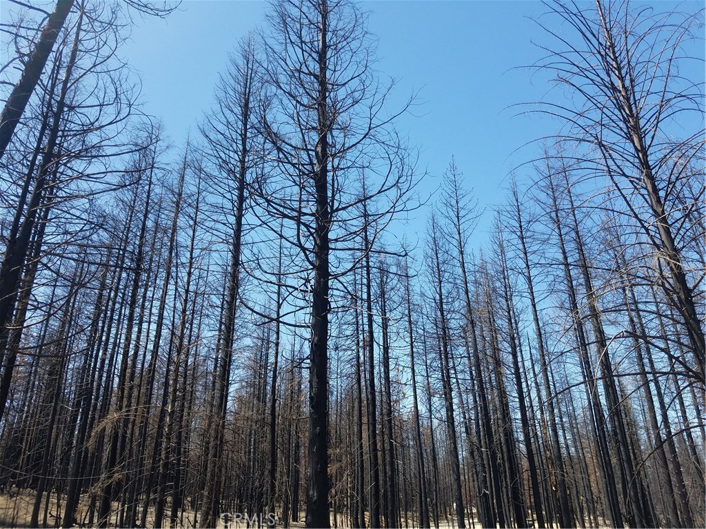 This is a great opportunity for sowing roots in Berry Creek! Per Owner the million dollar view from Isham Road says it all. This Parcel has views of the Valley and is very peaceful and beautiful. The Fire has burned through this area. 0 Isham Road has a steep grade to get to the flat area. Driveway is the first right off of Isham. Was told there is an old well on the property- Buyer to investigate. Seller has made a decision to sell this property. Now you can step into the tranquility and Gorgeous Views!