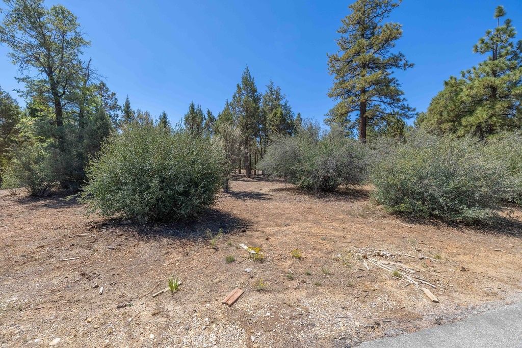 listing image 130720002877997049798