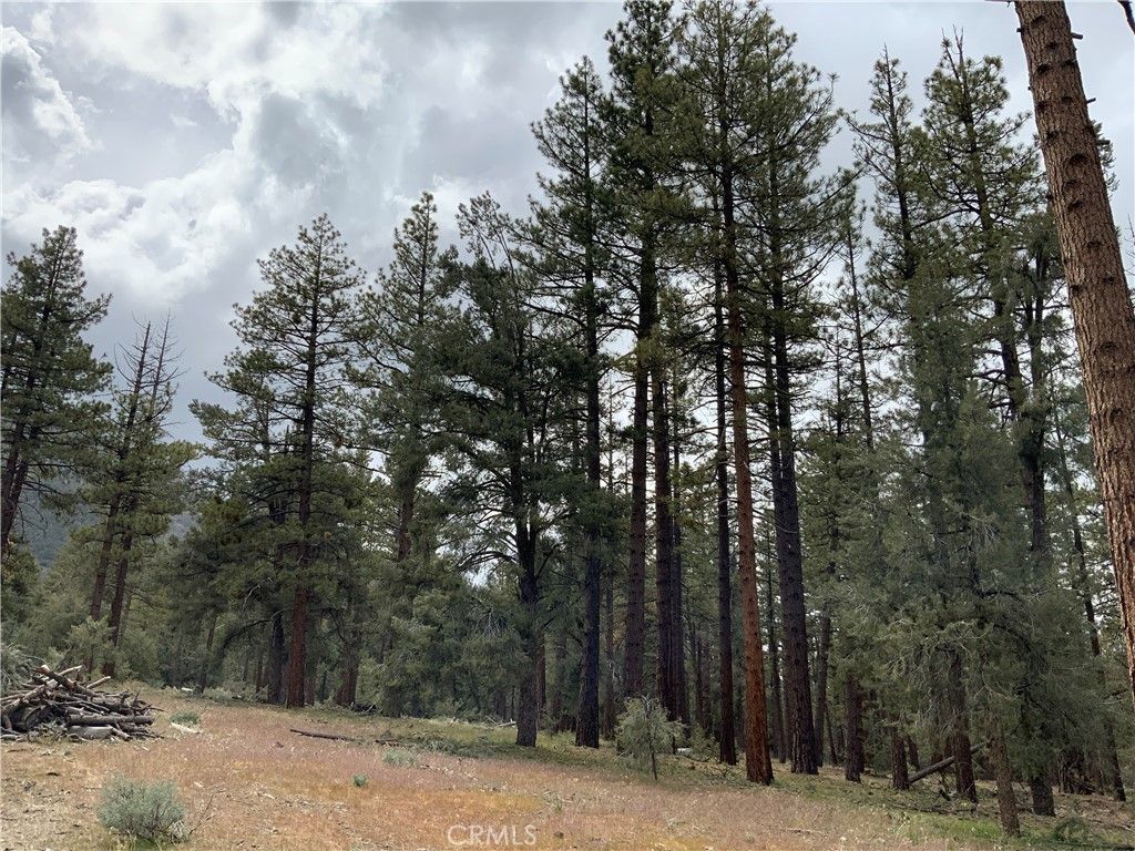 listing image 130727929510770463134