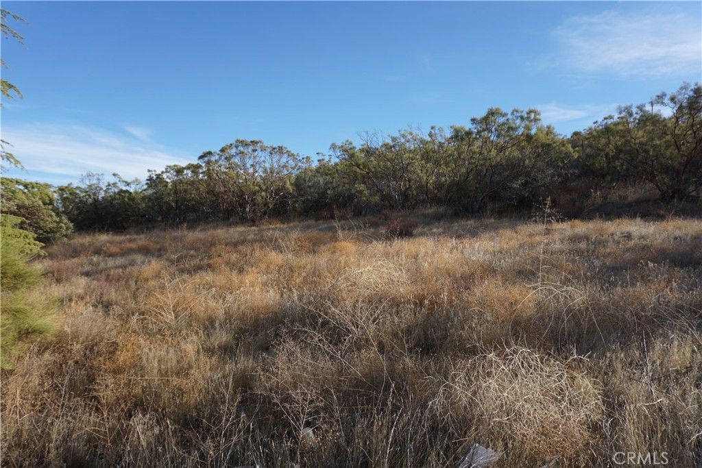 listing image 67