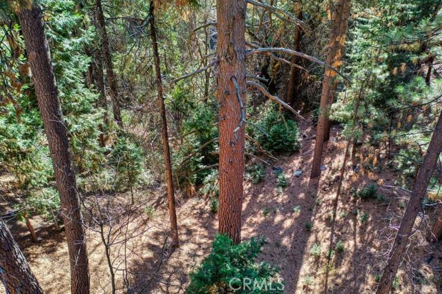 Twin Peaks - Residential