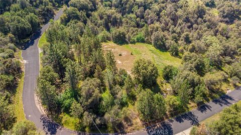 9 Valley Oak Drive Ahwahnee CA 93601