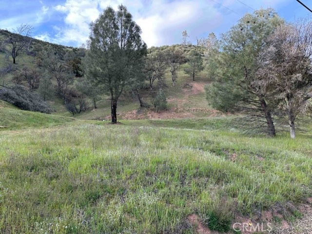 Over 8 acres of rolling hills with plenty of open space, trees, and buildable areas! Views of surrounding hills and mountains. Room for animals, gardens, or just to relax in the countryside. Part of the Spring Valley Lakes Subdivision with 200 acre campground available to property owners at $18 per year assessment.