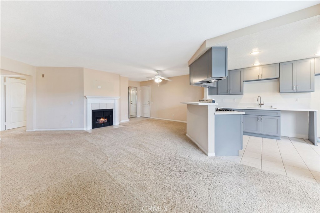 1401 N. Greenbrier Road #207