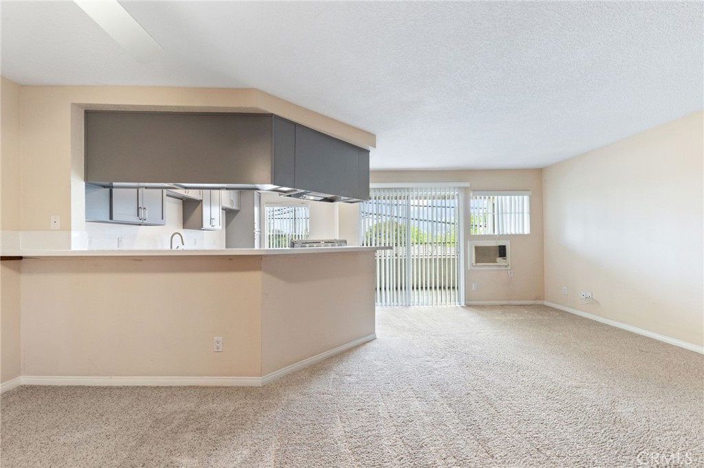1401 N. Greenbrier Road #207
