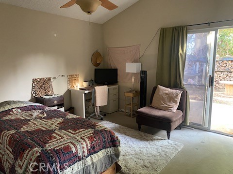 35339 San Pablo Drive
