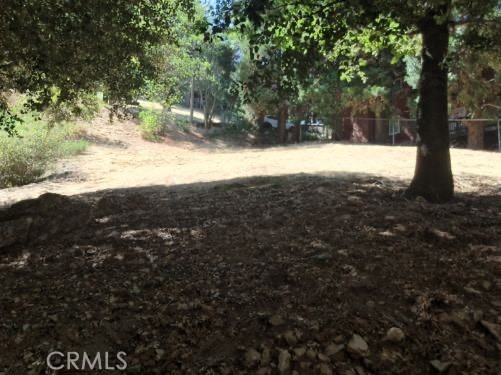 The perfect lot located in the popular San Moritz area over 100 Ft of street frontage! land is almost 1/3 acre (approx.12,770 Sqt with utilities (water,gas,electric.phone high speed internet,cable) near the street. Runs street to street on a county maintained road to provide maximum Building options and privacy beautiful custom homes throughout the neighborhood. Less than a mile to popular Lake Gregory wich features hiking trails,boating,fishing,kid play area,dog parks,running track,shopping,dining and entertainment. DONT MISS OUT ON THIS LAND...MAKE YOUR OFFER TODAY!