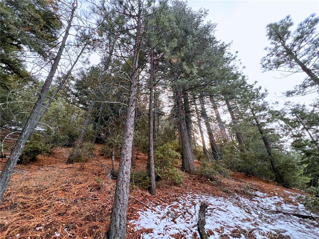 Listing image 7