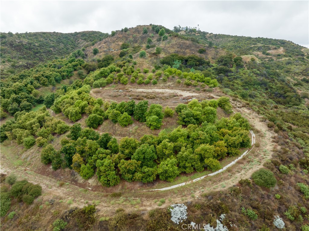 35380 Avenida La Cresta