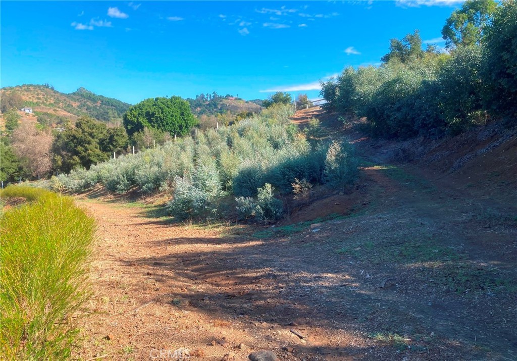 STUNNING DE LUZ NOW AVAILABLE! Discover the potential of over 20 ACRES made up of (4) contiguous 5-ACRE LOTS in the picturesque De Luz area, located in SW Riverside County just outside Temecula City Limits on Sandia Creek Dr, just minutes from OLD TOWN TEMECULA! These (4) legally separated parcels are some of the most desirable in the region, featuring (2) 2" WATER METERS. This remarkable property offers an ABUNDANCE OF USEABLE LAND, perfect for creating a stunning estate or exploring a variety of development opportunities. The two front parcels, LOTS 1 & 4 include RUNNING CREEK with walking bridges, creating a private, picturesque setting shaded amongst the MAJESTIC OAKS creating a real “park like” setting. There is a spacious 16' x 20' COVERED PATIO and an additional concrete slab, perfect for outdoor gatherings on LOT 4. The two rear parcels, LOTS 2 & 3, have gentle but elevated topography with great potential for view homesites. Given the size and features of the property, These (4) LOTS are an provide an EXCELLENT OPPORTUNITY for various development options, such as building CUSTOM HOMES, vacation homes, a FAMILY COMPOUND, or Agricultural opportunities. Currently, the property is planted out with many VARIOUS PLANTS, TREES, FLOWERS, including eucalyptus, DRAGON FRUIT, OLIVE, AVOCADO, and other fruit trees offering a unique blend of natural beauty, agricultural, and development opportunities. If you are interested in purchasing or learning more CONTACT AGENT for topographical and additional info.