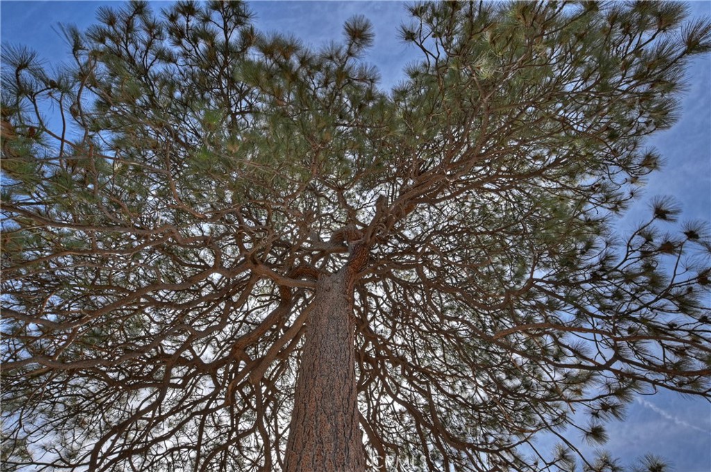 Arrowhead Woods (AWHW) - Land