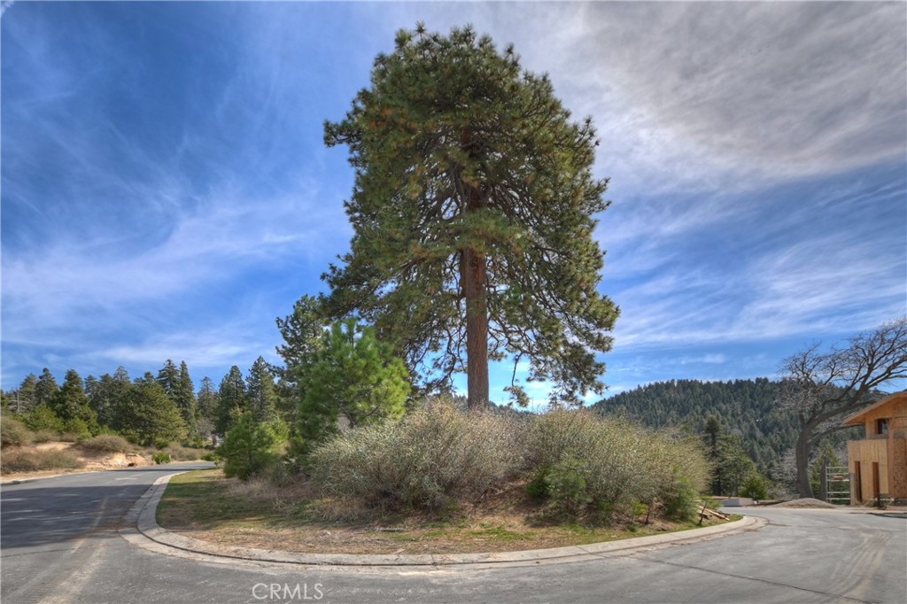 Arrowhead Woods (AWHW) - Land