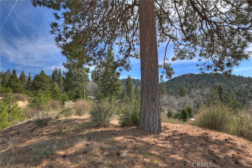 Arrowhead Woods (AWHW) - Land
