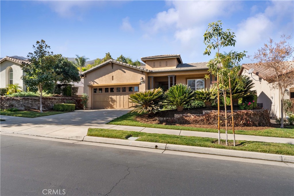 23955 augusta drive