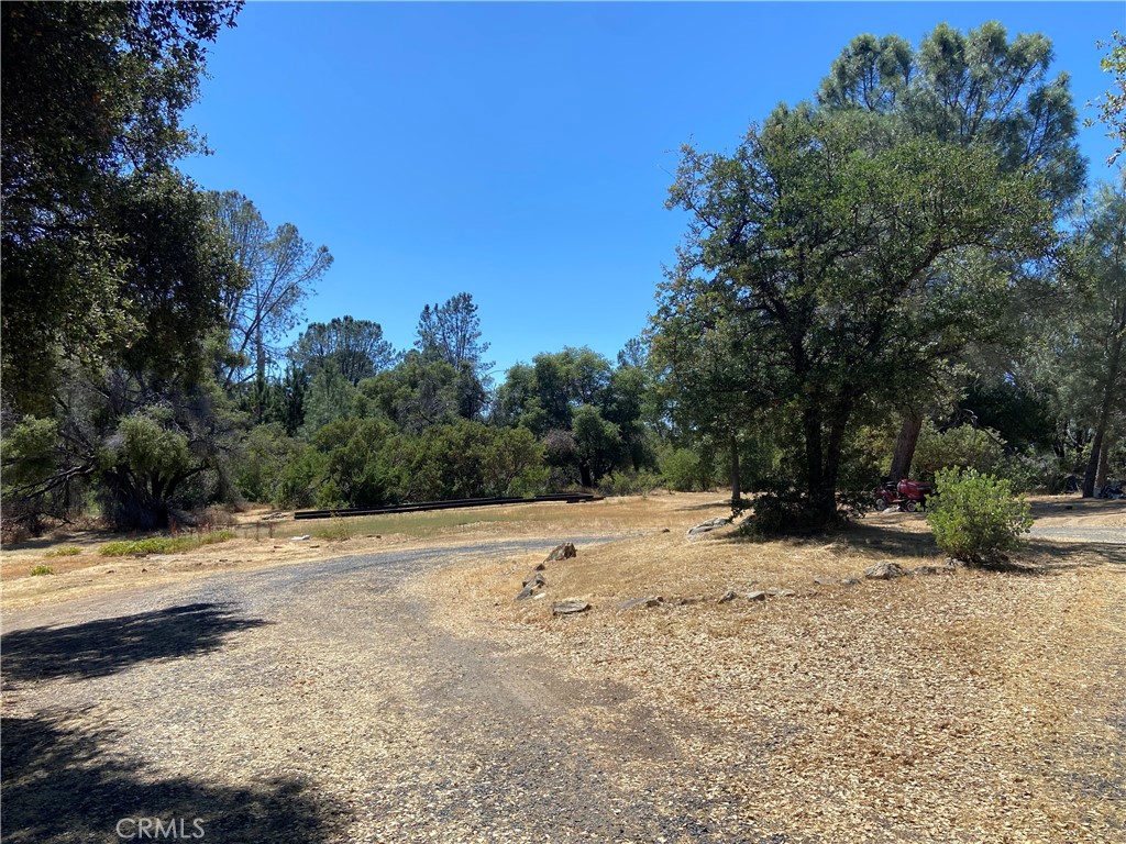 View Mariposa, CA 95338 property