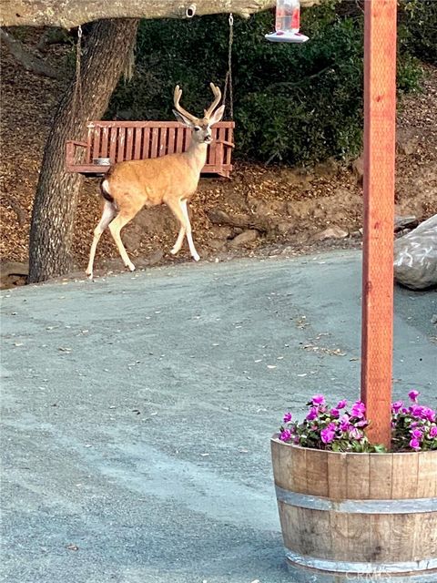 A home in Paso Robles