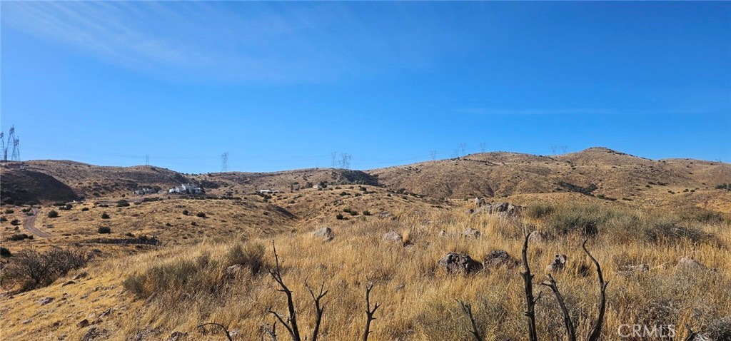 Custom Acton (CACTO) - Land