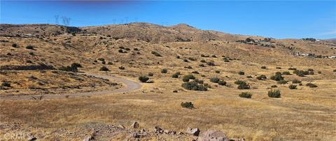 Photo of 0 Richter Lane, Acton, CA 93510 (MLS # SR25019723)