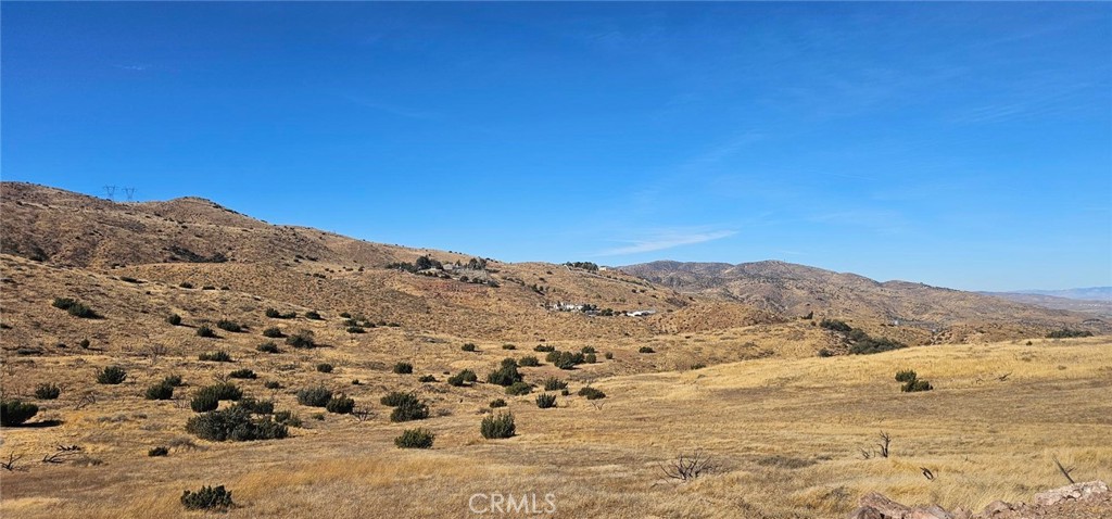 Custom Acton (CACTO) - Land