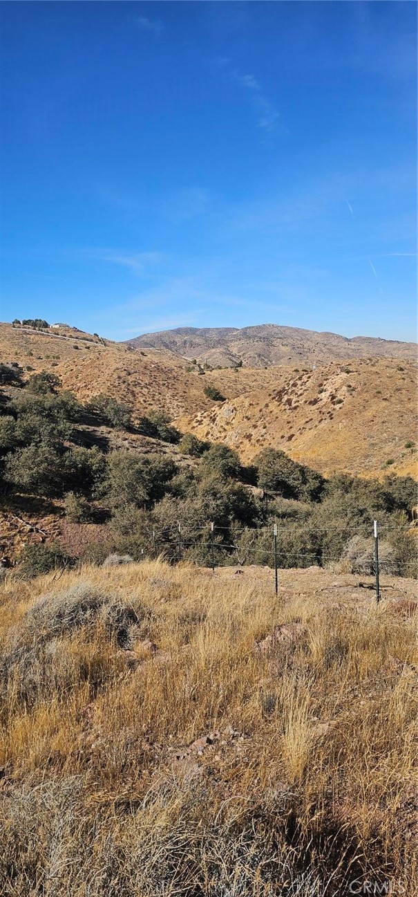 Custom Acton (CACTO) - Land