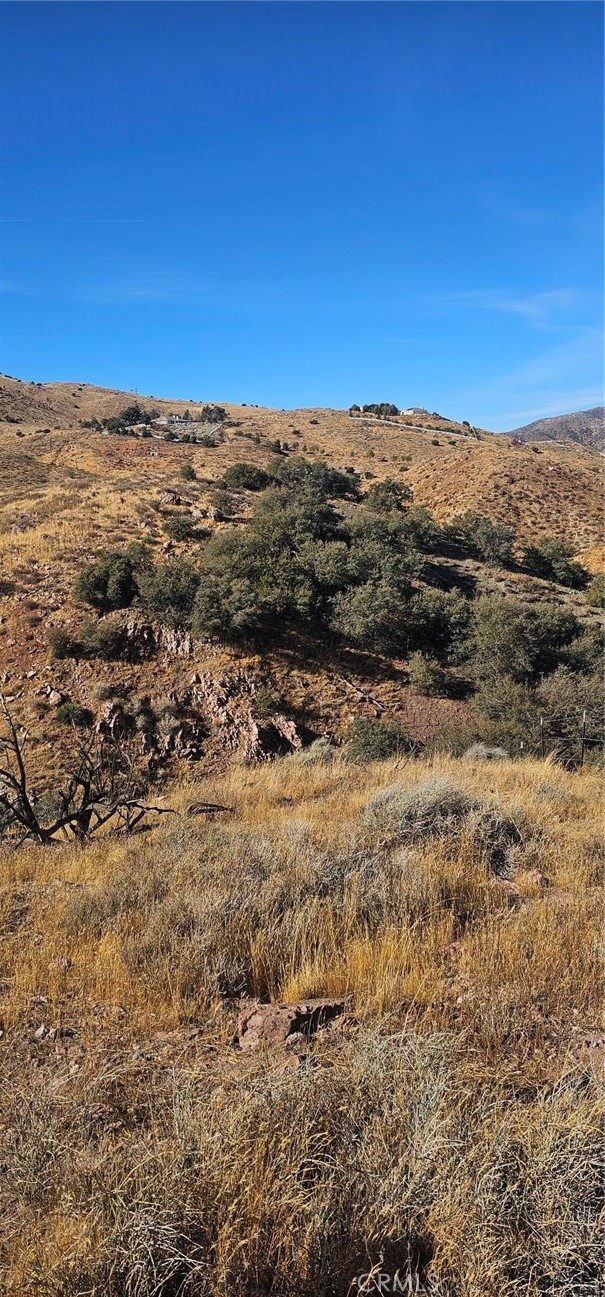 Custom Acton (CACTO) - Land