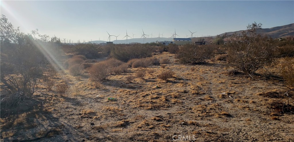 Palm Springs C.C. (33113) - Land