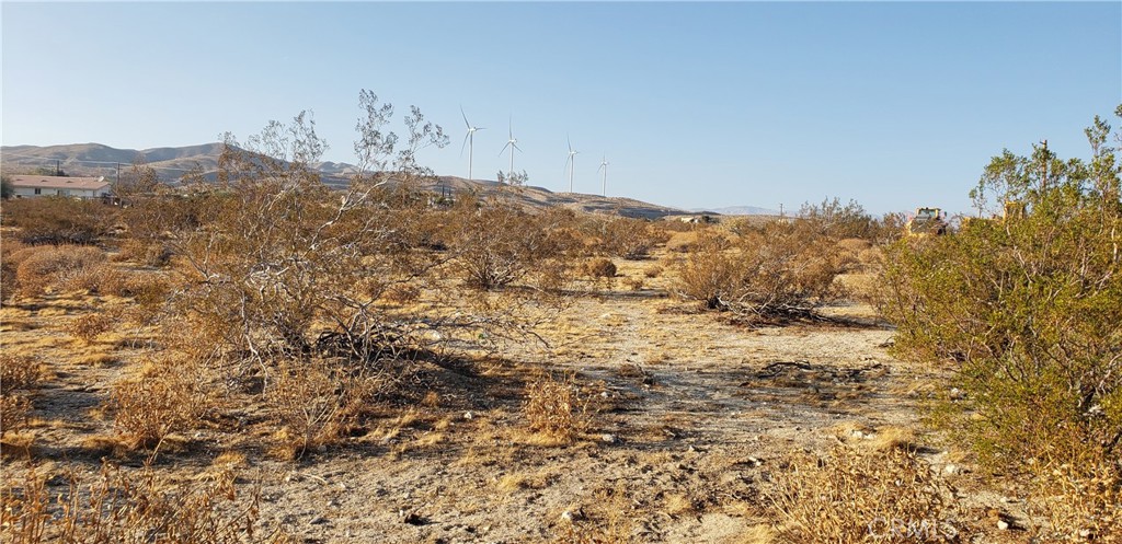 Palm Springs C.C. (33113) - Land
