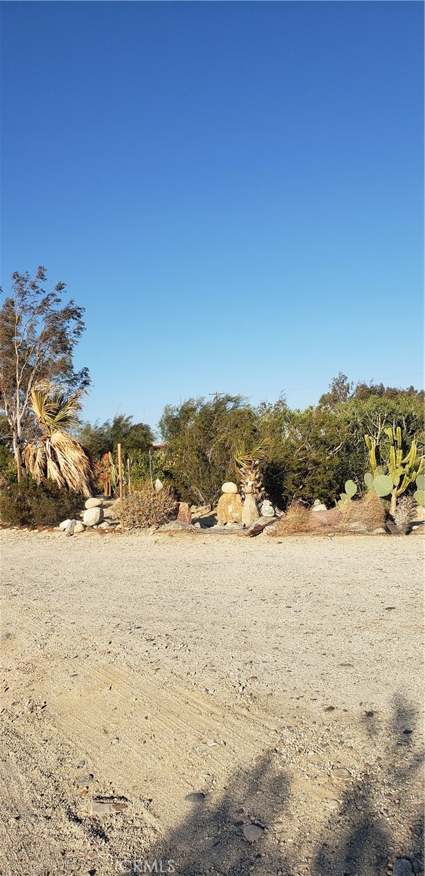 Palm Springs C.C. (33113) - Land