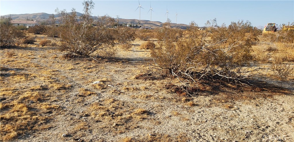 Palm Springs C.C. (33113) - Land