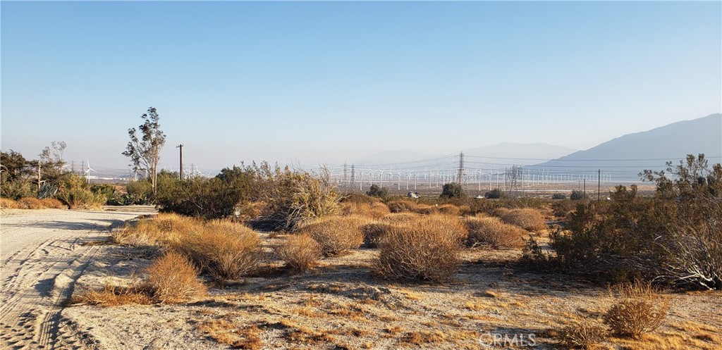 Palm Springs C.C. (33113) - Land