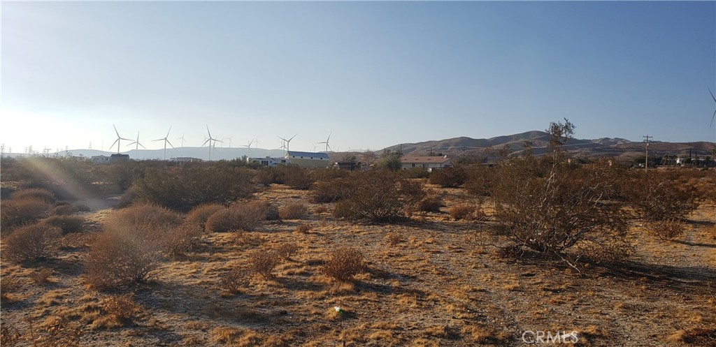 Palm Springs C.C. (33113) - Land