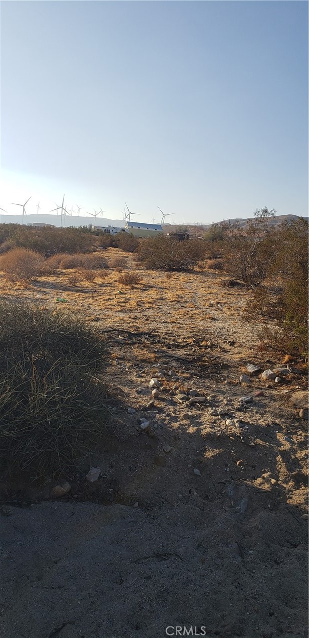 Palm Springs C.C. (33113) - Land