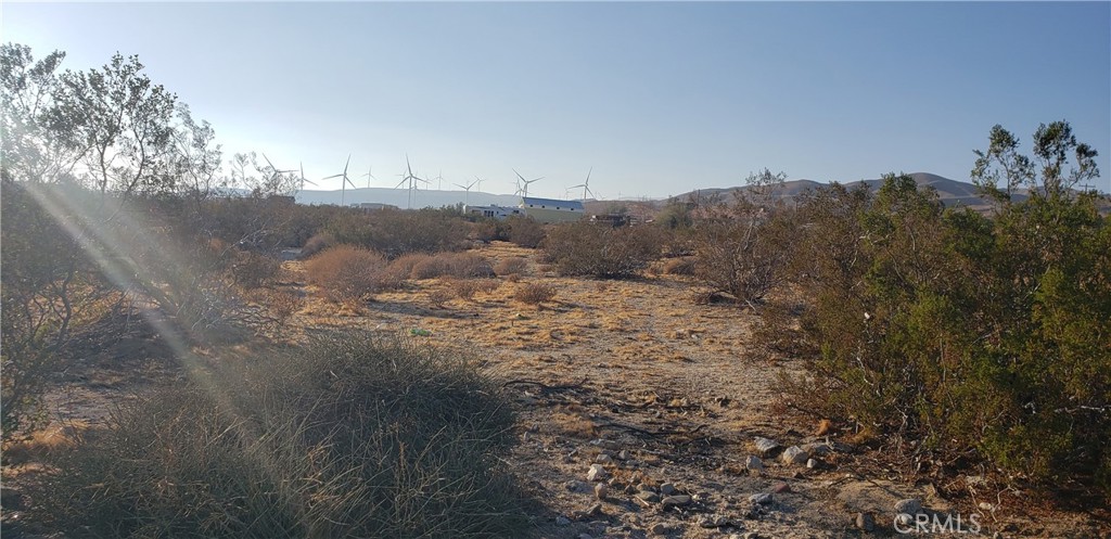 Palm Springs C.C. (33113) - Land