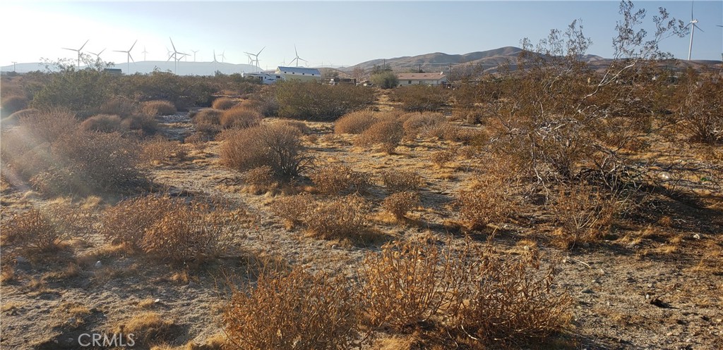 Palm Springs C.C. (33113) - Land
