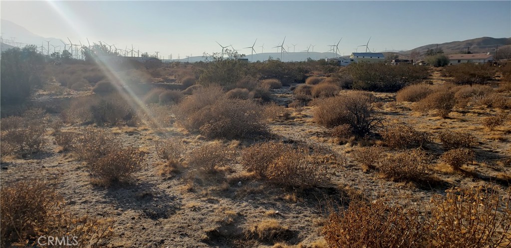 Palm Springs C.C. (33113) - Land