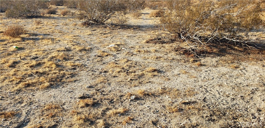 Palm Springs C.C. (33113) - Land