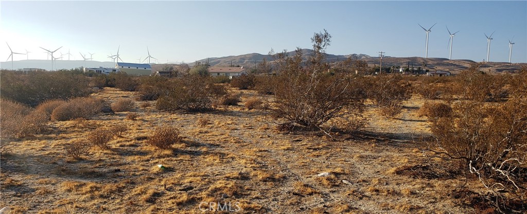 Palm Springs C.C. (33113) - Land