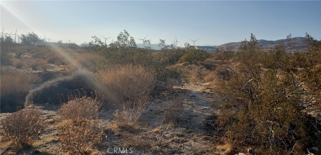 Palm Springs C.C. (33113) - Land