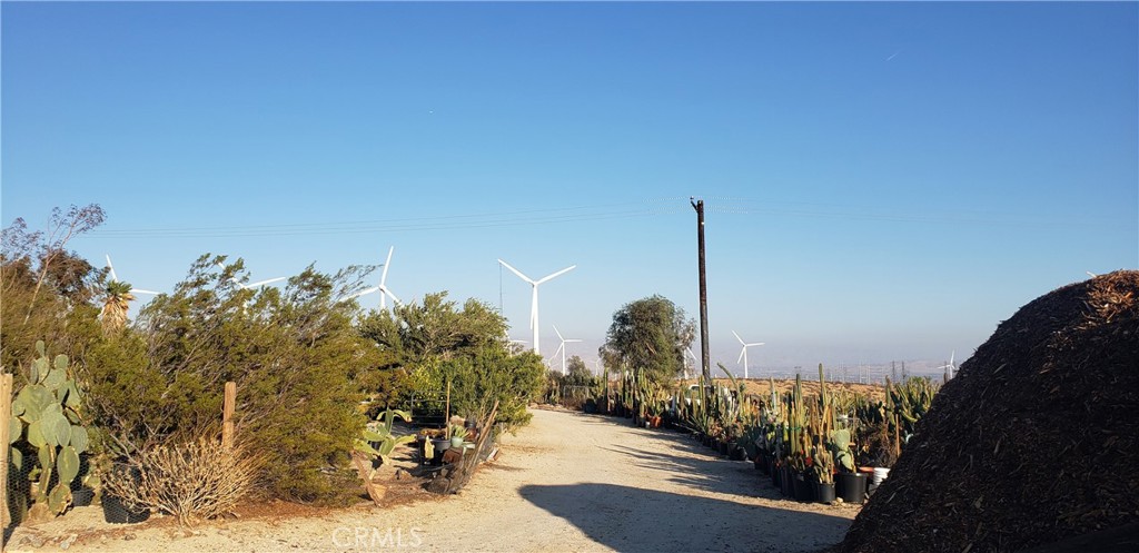 Palm Springs C.C. (33113) - Land