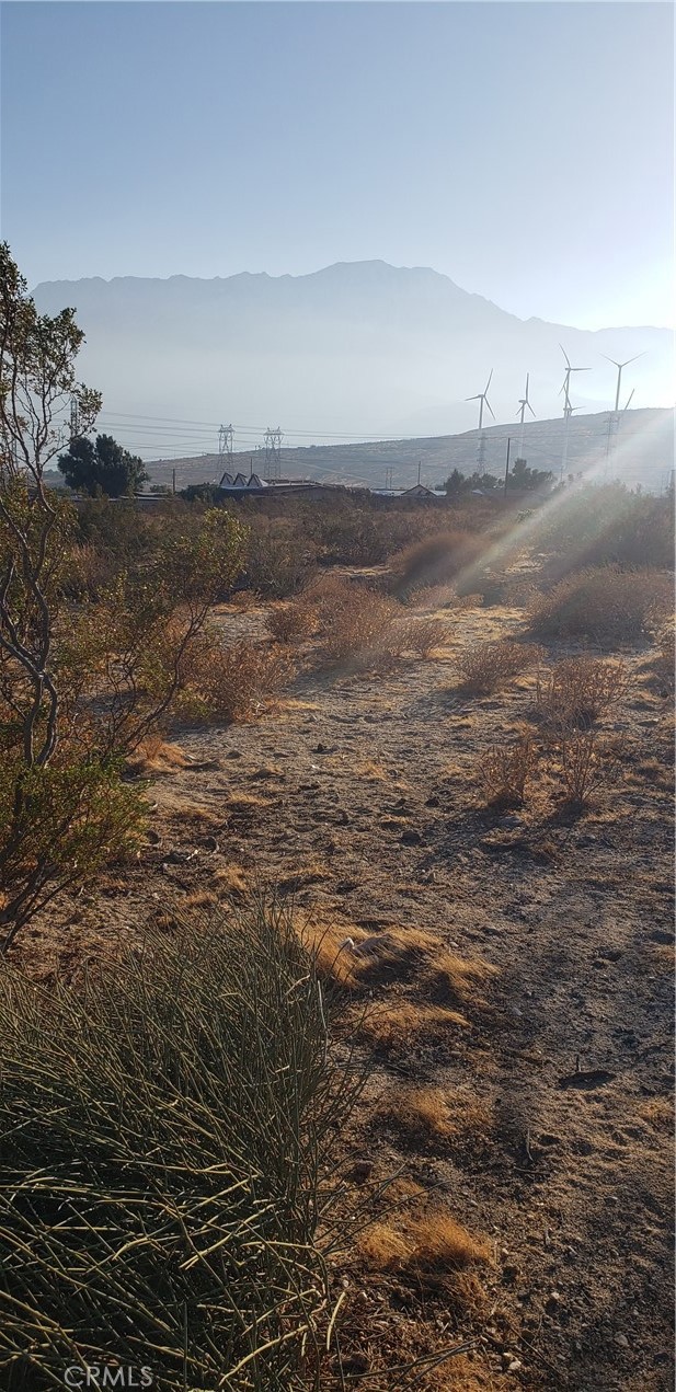 Palm Springs C.C. (33113) - Land