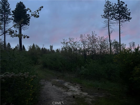 HOG RANCH RD, OROVILLE, CA 95965 - Image ae7b44e9da976357933205d72a6f2bef/2304334004