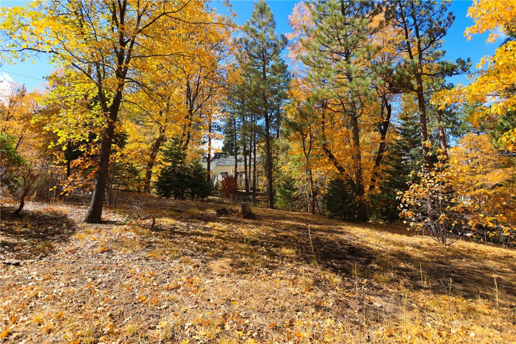 Nestled on just under a quarter acre, this vacant lot sits among majestic oaks and pines, offering a serene escape just steps from Big Bear Lake's premier hiking trails in the national forest. Located just 3/4 mile from the vibrant Village, under 2 miles from Snow Summit Ski Resort, and a mile to Pine Knot Marina, this is an ideal spot to build your dream cabin in paradise. City water, sewer, power, and gas are all available – ready for your mountain getaway!